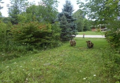 (private lake, pond, creek) Lot For Sale in Strongsville Ohio