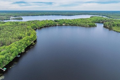 Enjoy the perfect setup for lake living! You can reside in the - photo 29