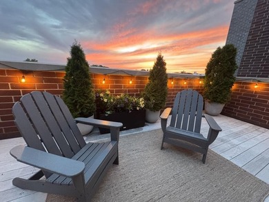 Set on a rare extra-wide 30' lot in one of Lincoln Park's most - photo 31