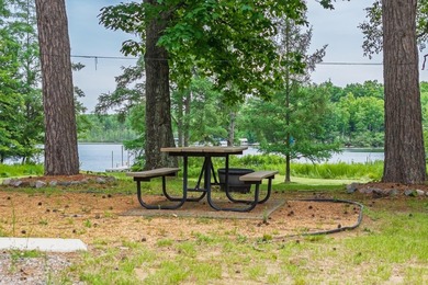 Enjoy the perfect setup for lake living! You can reside in the - photo 38