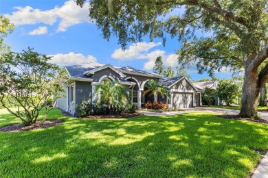 Lake Home Sale Pending in Palm Harbor, Florida