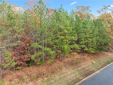 Lake Keowee interior lot #278 with deeded boat slip in sought - photo 3