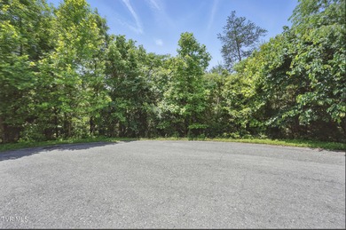 Holston River - Hawkins County Lot For Sale in Church Hill Tennessee