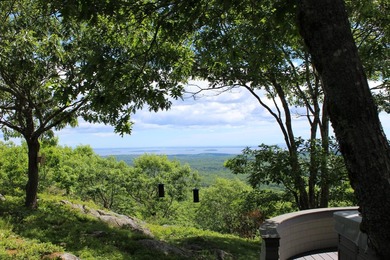 Perched atop Spruce Mountain, this stunning 36-acre estate - photo 16