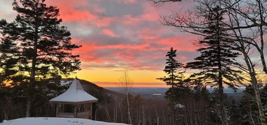 Perched atop Spruce Mountain, this stunning 36-acre estate - photo 17