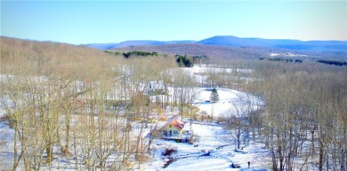 Lake Home Sale Pending in Roxbury, New York