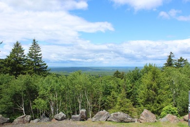 Perched atop Spruce Mountain, this stunning 36-acre estate - photo 26