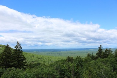 Perched atop Spruce Mountain, this stunning 36-acre estate - photo 39