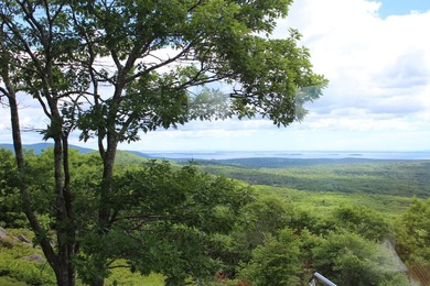 Perched atop Spruce Mountain, this stunning 36-acre estate - photo 45