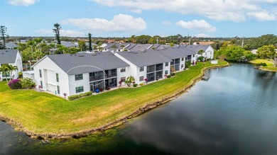 (private lake, pond, coastal) Condo For Sale in Venice Florida