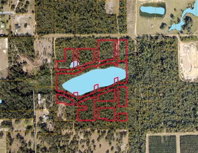 (private lake, pond, creek) Acreage Sale Pending in DE Leon Springs Florida