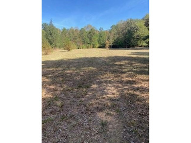 Lake Russell Acreage For Sale in Elberton Georgia