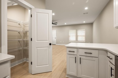 New Construction Townhomes in Valparaiso are ready! These large - photo 12