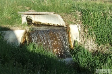 This property is currently under contract: The seller is seeking - photo 4