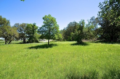 Build the custom golf course home of your dreams! Cul-de-Sac - photo 20