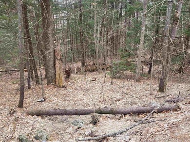 Mountain View and River Frontage! This approved building lot has - photo 1