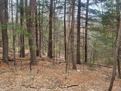 Mountain View and River Frontage! This approved building lot has - photo 2
