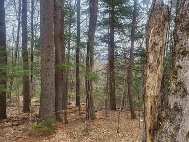 Mountain View and River Frontage! This approved building lot has - photo 3