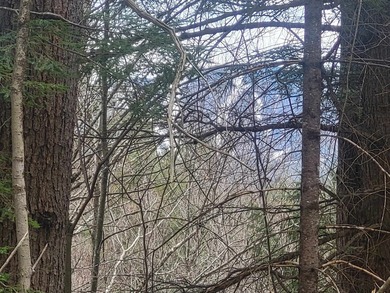 Mountain View and River Frontage! This approved building lot has - photo 4