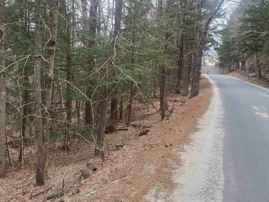 Mountain View and River Frontage! This approved building lot has - photo 6