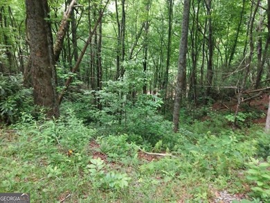 Hear the roar of the Mudd Creek waterfall from this wooded - photo 2