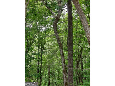 Hear the roar of the Mudd Creek waterfall from this wooded - photo 3
