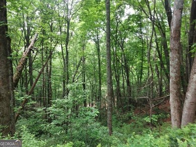 Hear the roar of the Mudd Creek waterfall from this wooded - photo 4