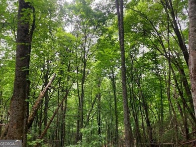Hear the roar of the Mudd Creek waterfall from this wooded - photo 5