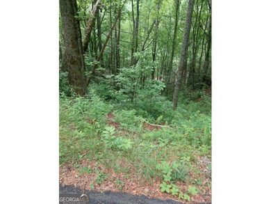Hear the roar of the Mudd Creek waterfall from this wooded - photo 6