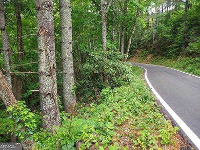 Hear the roar of the Mudd Creek waterfall from this wooded - photo 7