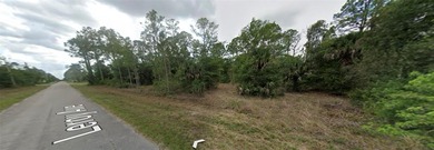 Lehigh Acres Area Lot For Sale in Lehigh Acres Florida
