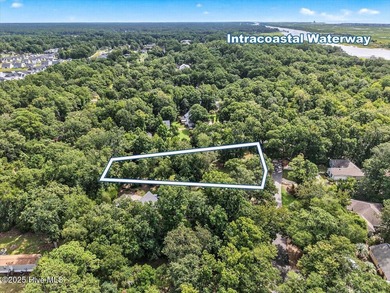 Large lot, partially cleared, close to the Intracoastal Waterway - photo 9
