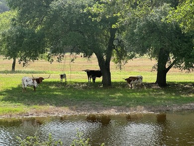 Nestled just beyond the city limits of Kerrville, this sprawling - photo 16
