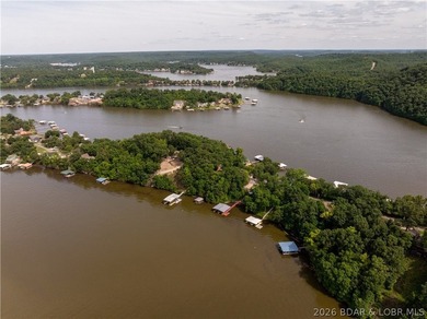 Affordable waterfront living on the Little Niangua! This - photo 42