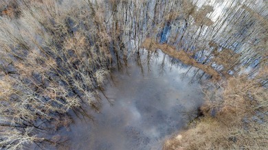 Bolen Slough is located 5.2 miles South of Idabel, Oklahoma - photo 2