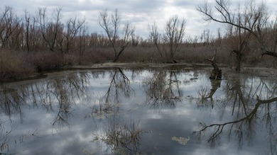 Bolen Slough is located 5.2 miles South of Idabel, Oklahoma - photo 3