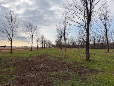 Bolen Slough is located 5.2 miles South of Idabel, Oklahoma - photo 6