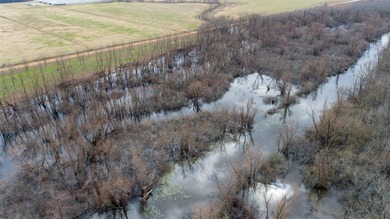 Bolen Slough is located 5.2 miles South of Idabel, Oklahoma - photo 8