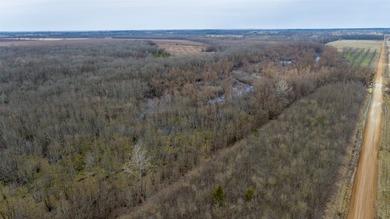 Bolen Slough is located 5.2 miles South of Idabel, Oklahoma - photo 10