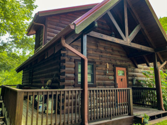 Watauga Lakefront Cabin with All the Amenities - Lake Home For Sale in Butler, Tennessee