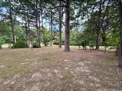 BEAUTIFUL LARGE CORNER PROPERTY!!! This well maintained brick - photo 19