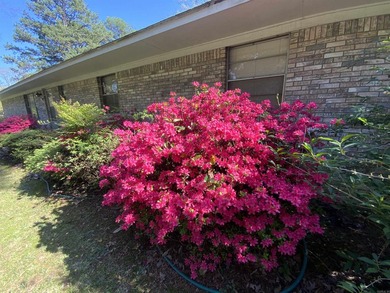 BEAUTIFUL LARGE CORNER PROPERTY!!! This well maintained brick - photo 26