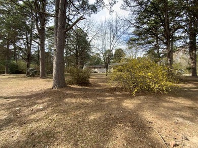 BEAUTIFUL LARGE CORNER PROPERTY!!! This well maintained brick - photo 28