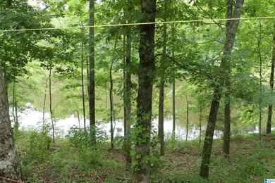 This is a spacious home with 13.55 acres with unlimited rental - photo 40
