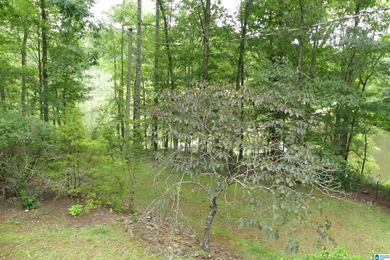 This is a spacious home with 13.55 acres with unlimited rental - photo 41
