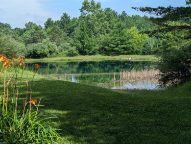 Lake Acreage Sale Pending in Grant, Michigan