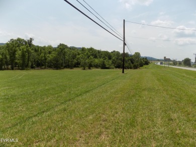 Lake Lot For Sale in Bean Station, Tennessee