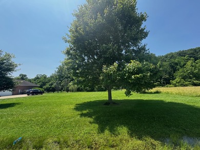 Ohio River Lot For Sale in Proctorville Ohio