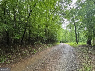 (private lake, pond, creek) Lot For Sale in Ellijay Georgia