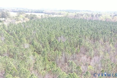 This beautiful 20-acre tract offers the perfect blend of privacy - photo 11